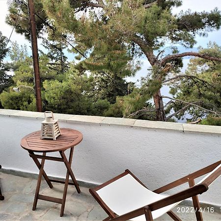 Pine Trees And Sea View Houses In Hydra - Daphne, Chloe, Myrto, Eleni Ruang foto