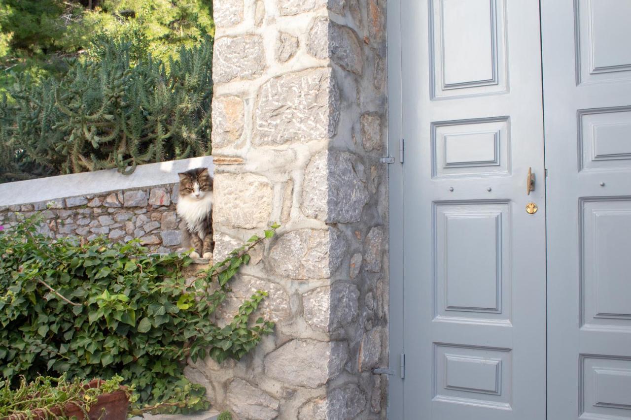 Pine Trees And Sea View Houses In Hydra - Daphne, Chloe, Myrto, Eleni Bagian luar foto