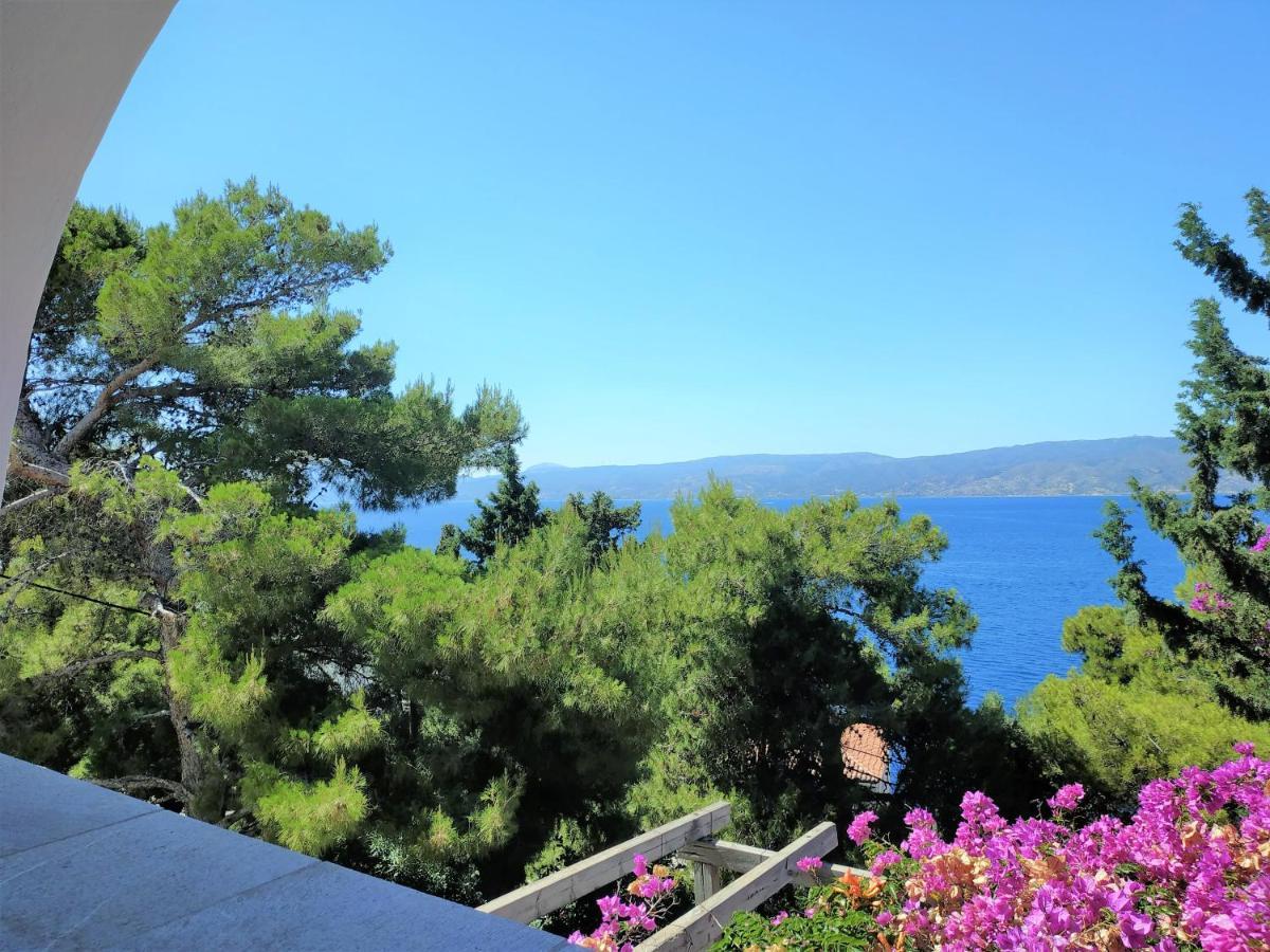 Pine Trees And Sea View Houses In Hydra - Daphne, Chloe, Myrto, Eleni Bagian luar foto