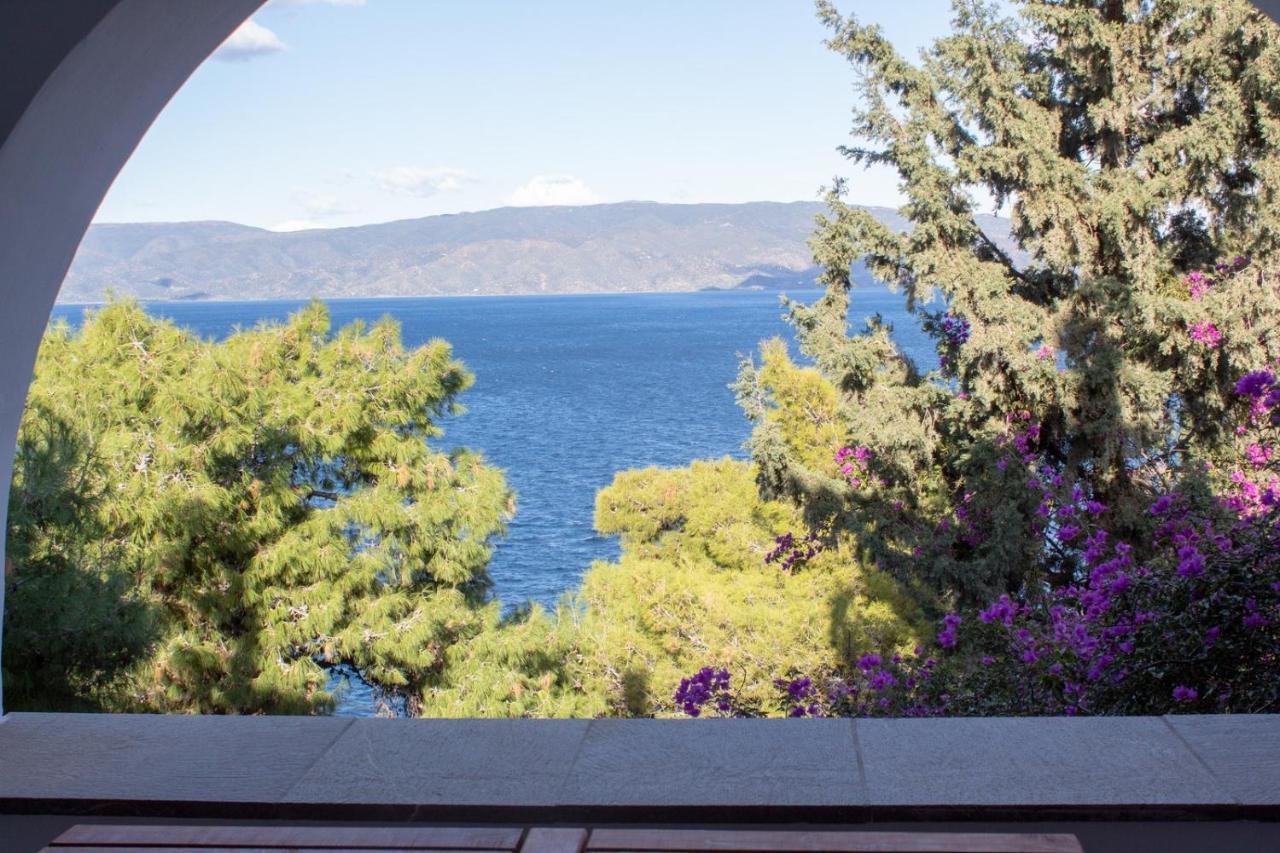 Pine Trees And Sea View Houses In Hydra - Daphne, Chloe, Myrto, Eleni Bagian luar foto