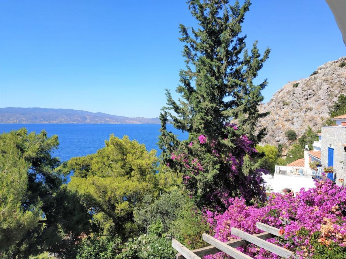 Pine Trees And Sea View Houses In Hydra - Daphne, Chloe, Myrto, Eleni Bagian luar foto