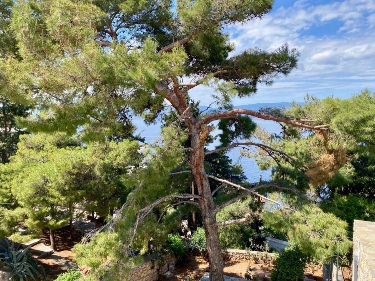 Pine Trees And Sea View Houses In Hydra - Daphne, Chloe, Myrto, Eleni Bagian luar foto