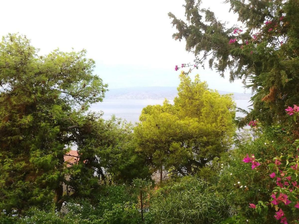 Pine Trees And Sea View Houses In Hydra - Daphne, Chloe, Myrto, Eleni Bagian luar foto